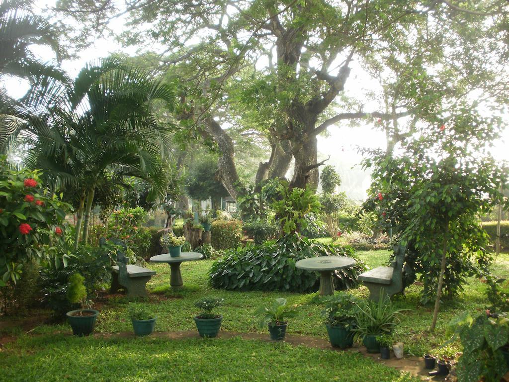 Nilketha Villa Eco Hotel Anuradhapura Exteriör bild